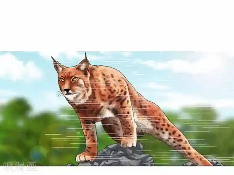 神之网式足球第42话