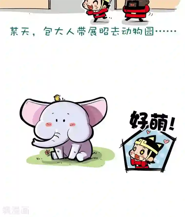 微开封第8话 熊猫