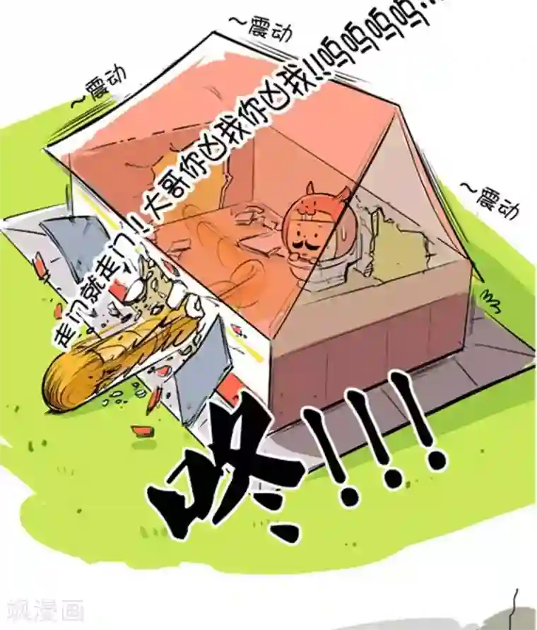 健身房私教起反应了第37话 穿山鼠