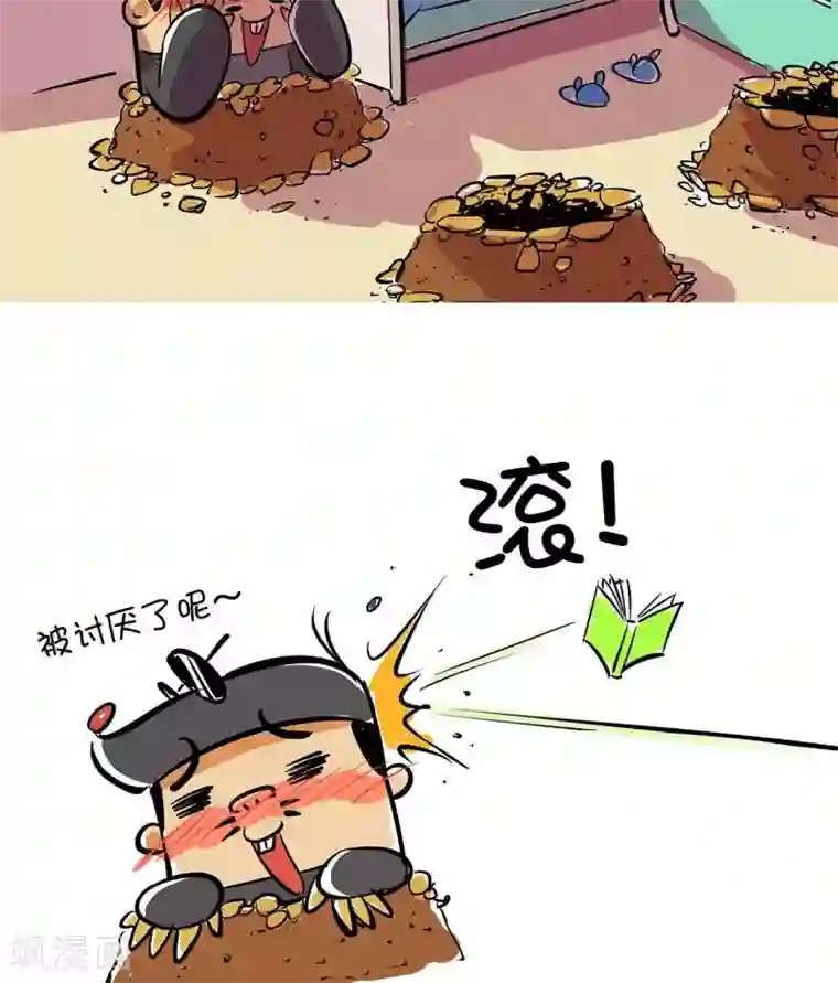 微开封第40话 锦毛鼠同好会