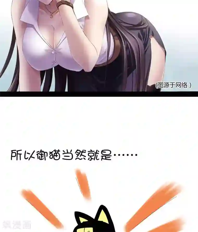 微开封第45话 御猫