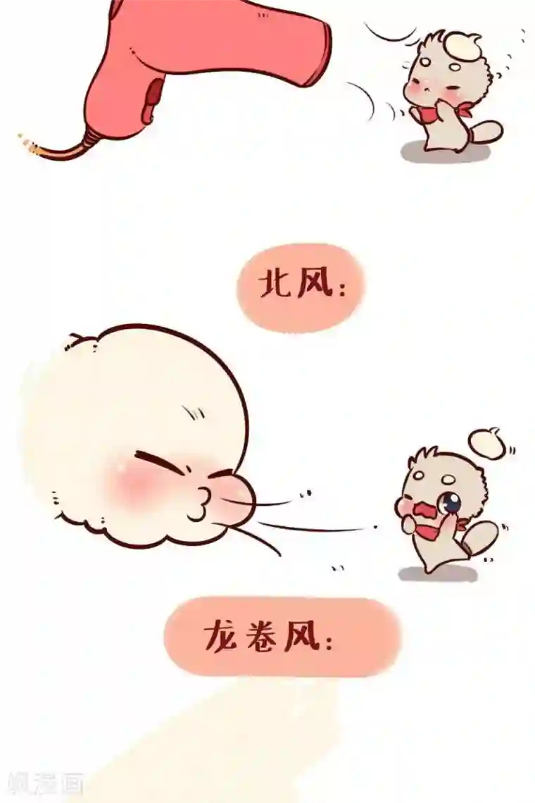 阿坨日常第三十话 风