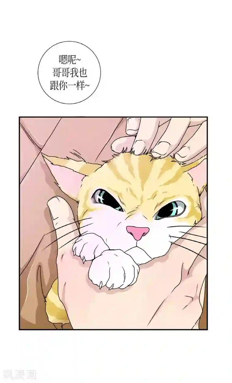 朝鲜男女相悦之事操作团第2话 白色梨花2