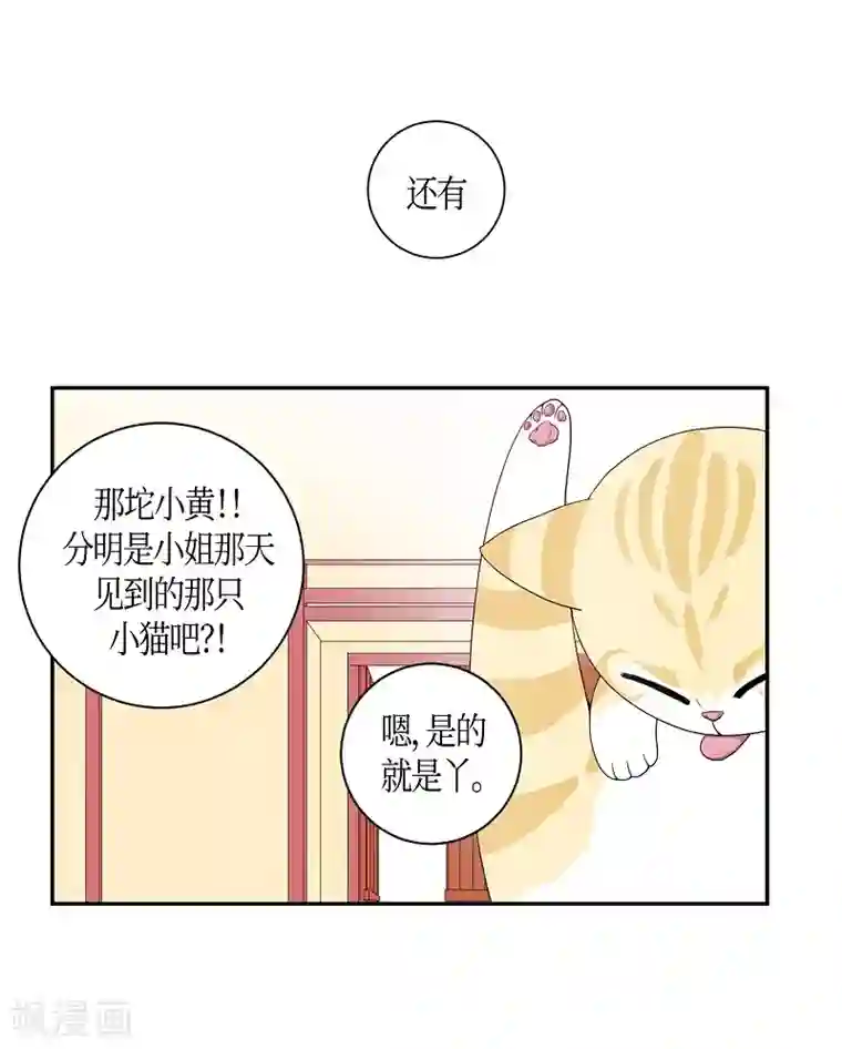 朝鲜男女相悦之事操作团第7话 蔷薇3