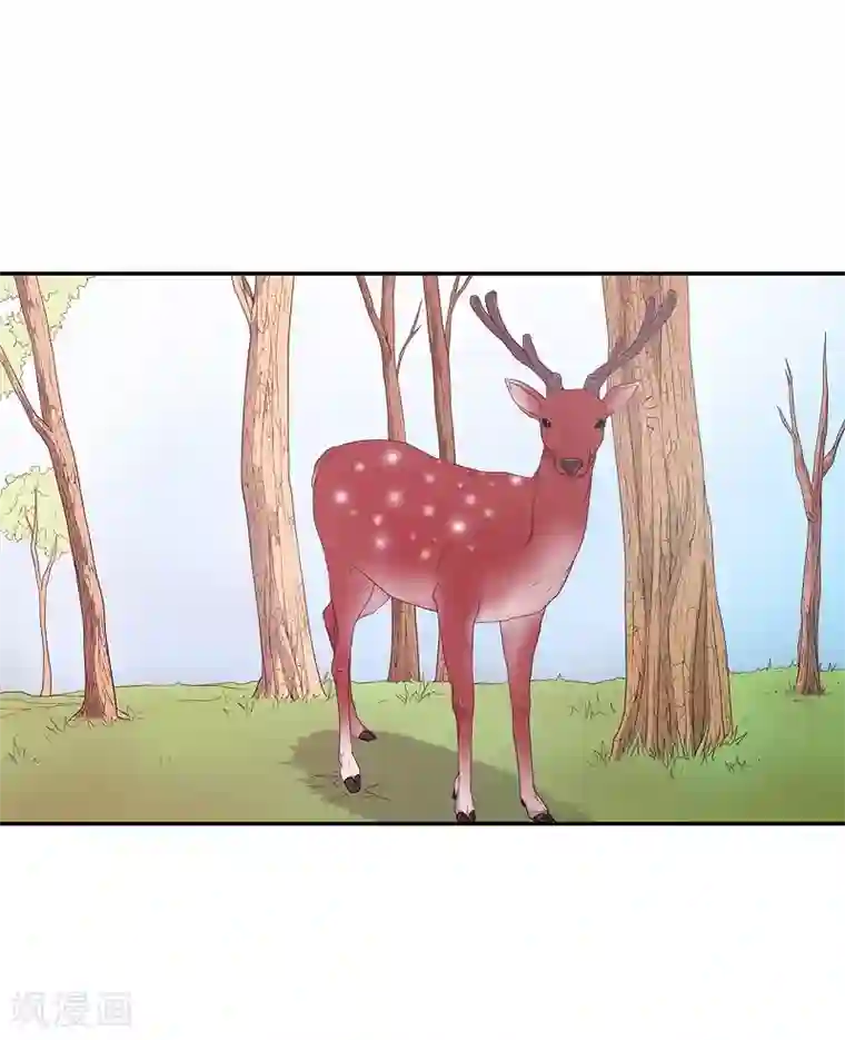 朝鲜男女相悦之事操作团第8话 蔷薇4