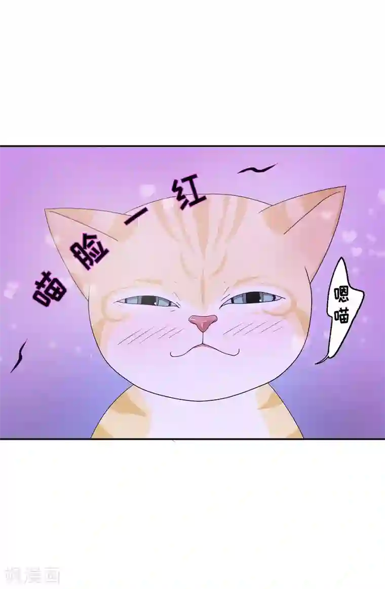 朝鲜男女相悦之事操作团第12话 蔷薇8