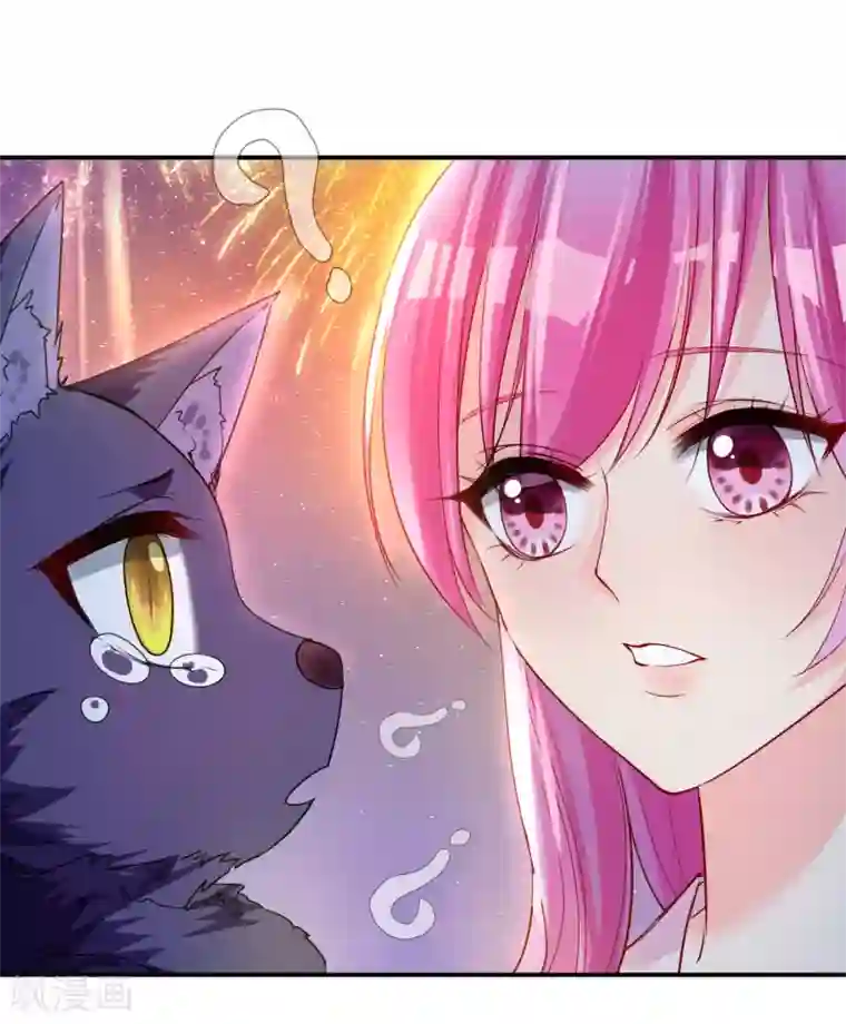 兽宠女皇第112话 玫瑰花该送给谁？