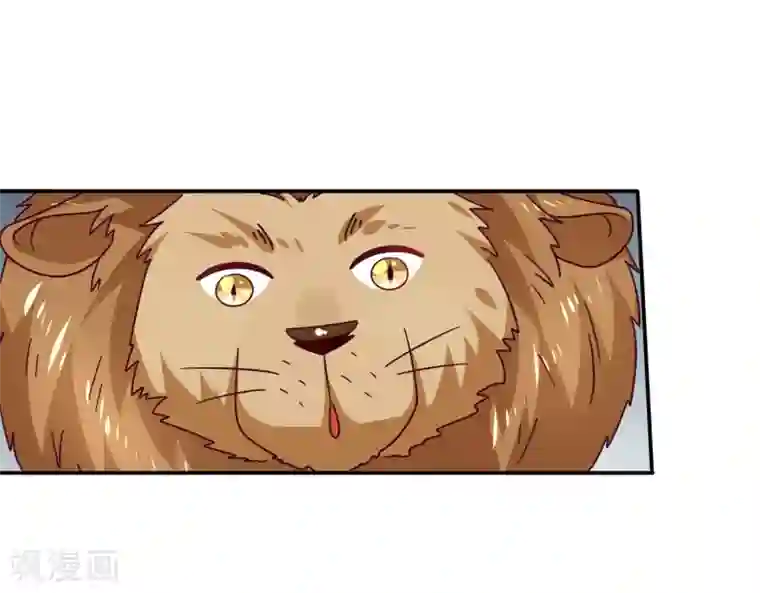 兽宠女皇番外1 没想到，你居然是这种狮子！