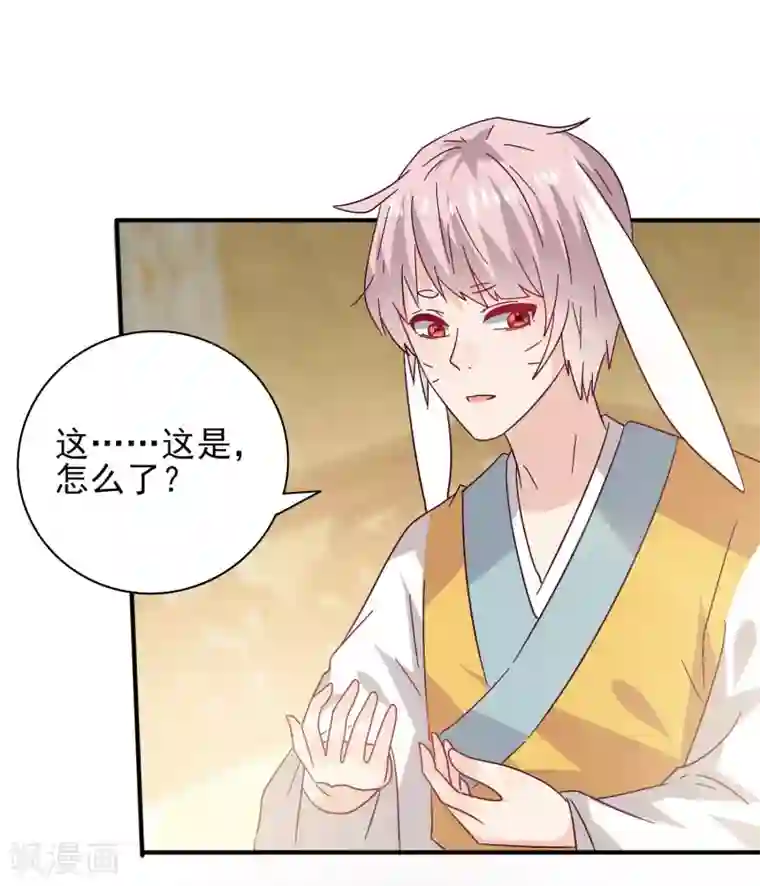 兽宠女皇第37话 我是为你而来的