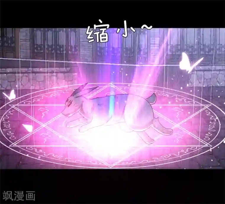 兽宠女皇第39话 哪里跑来的假女皇？！