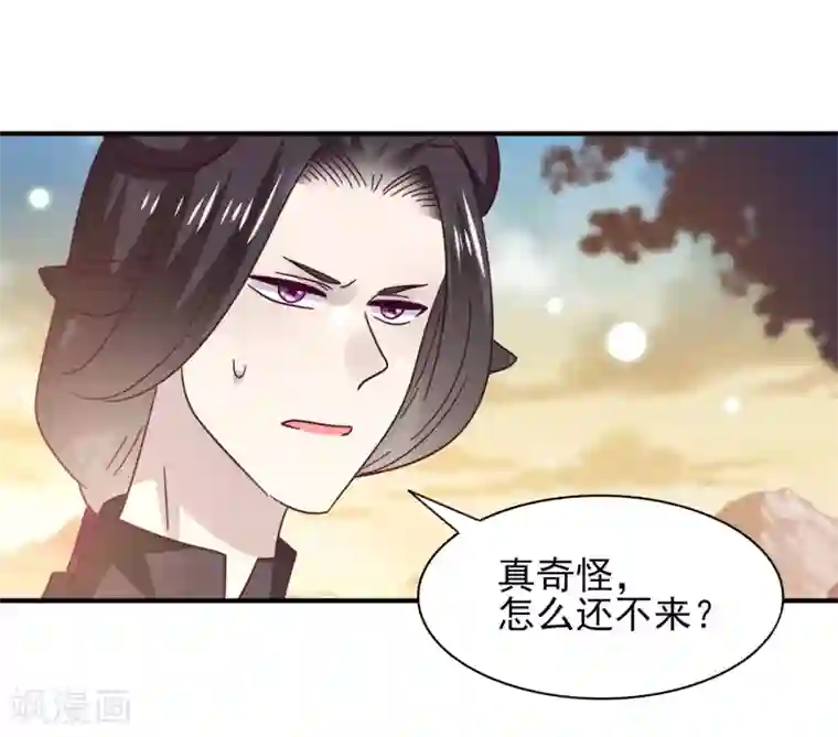 兽宠女皇第44话 小狼狼和猫骑士之间的火药味