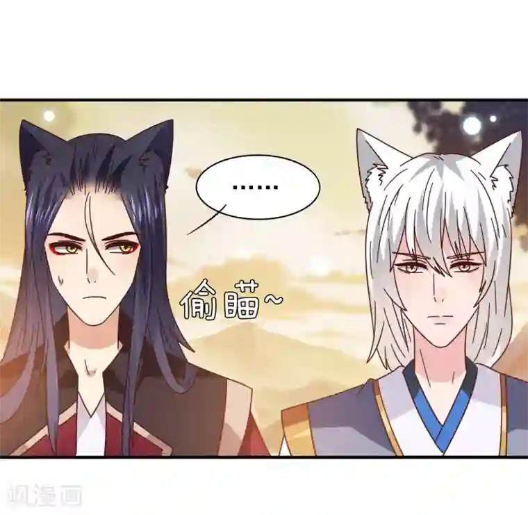 兽宠女皇第44话 小狼狼和猫骑士之间的火药味