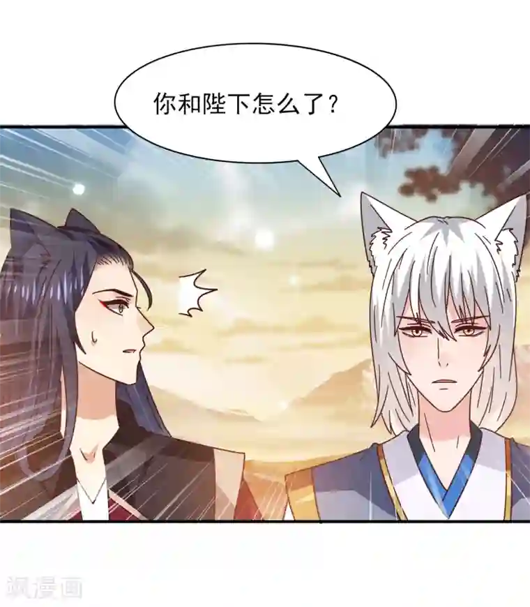 兽宠女皇第44话 小狼狼和猫骑士之间的火药味