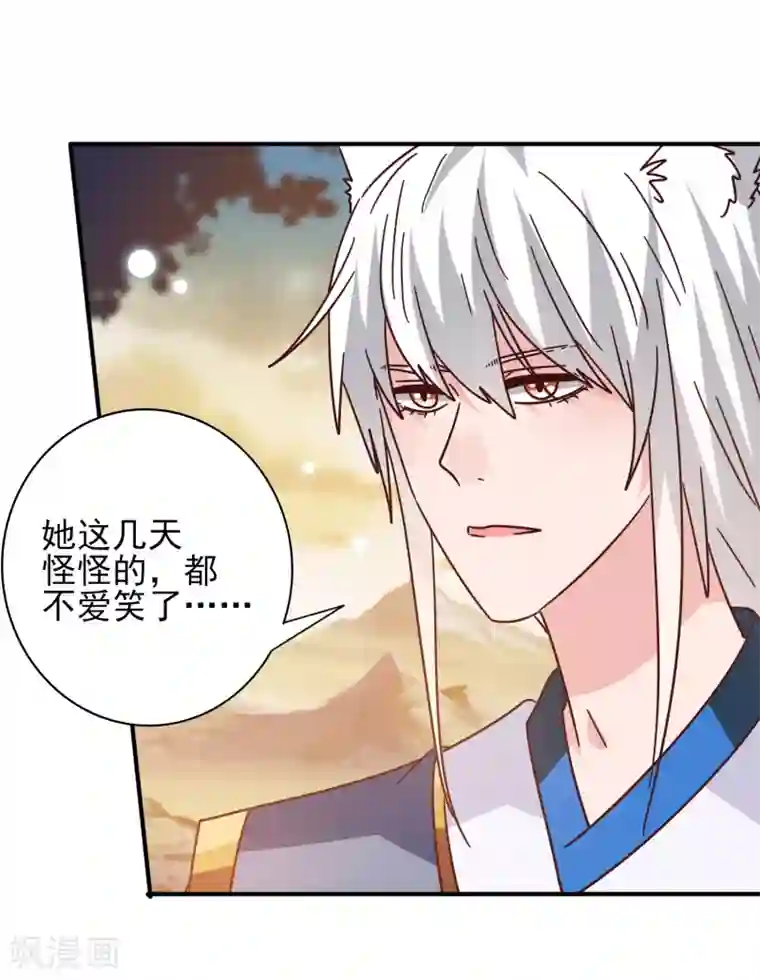 兽宠女皇第44话 小狼狼和猫骑士之间的火药味