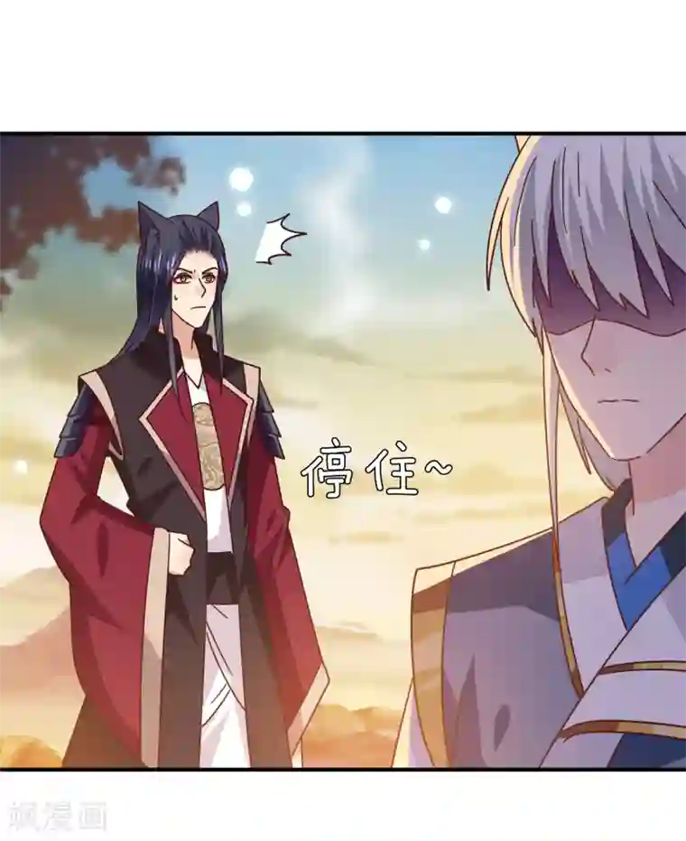 兽宠女皇第44话 小狼狼和猫骑士之间的火药味