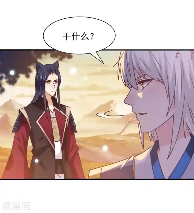 兽宠女皇第44话 小狼狼和猫骑士之间的火药味