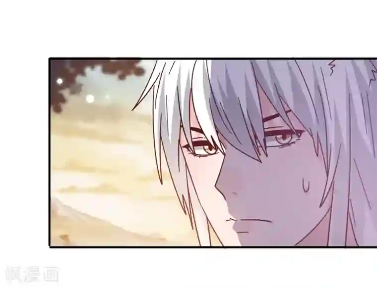 兽宠女皇第44话 小狼狼和猫骑士之间的火药味