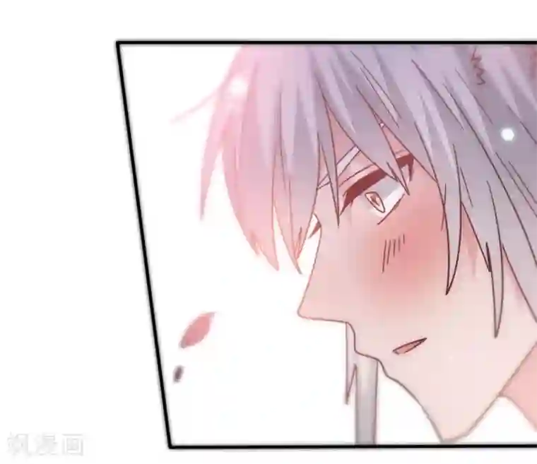 兽宠女皇第44话 小狼狼和猫骑士之间的火药味