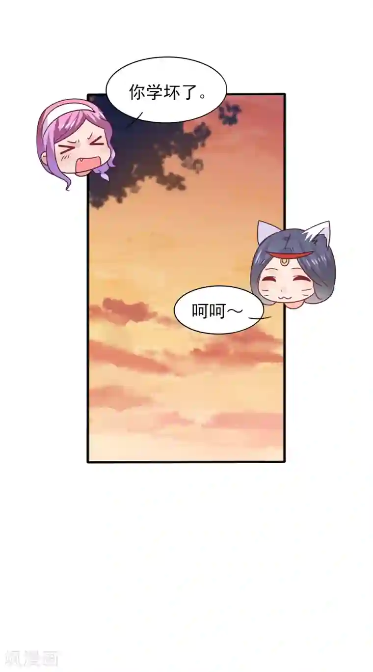 兽宠女皇第44话 小狼狼和猫骑士之间的火药味