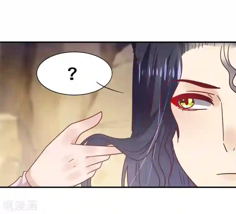 兽宠女皇第47话 新骑士出现！