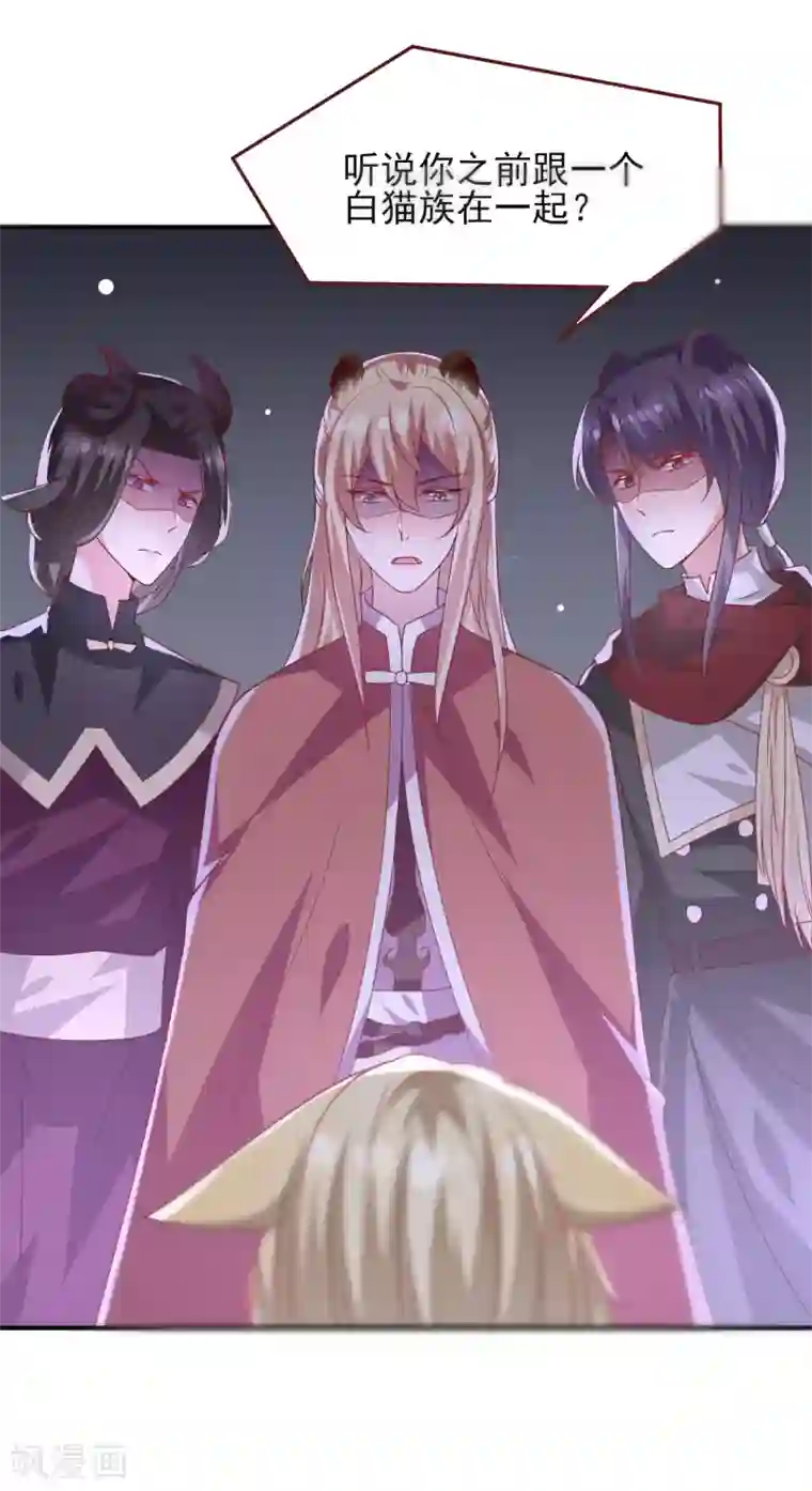 兽宠女皇第55话 狐狸对猫说了悄悄话