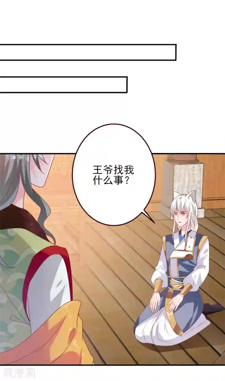 兽宠女皇第55话 狐狸对猫说了悄悄话