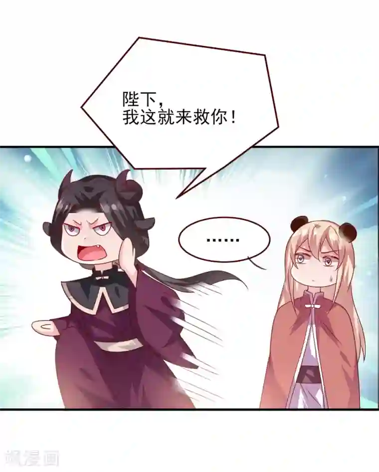 兽宠女皇第55话 狐狸对猫说了悄悄话