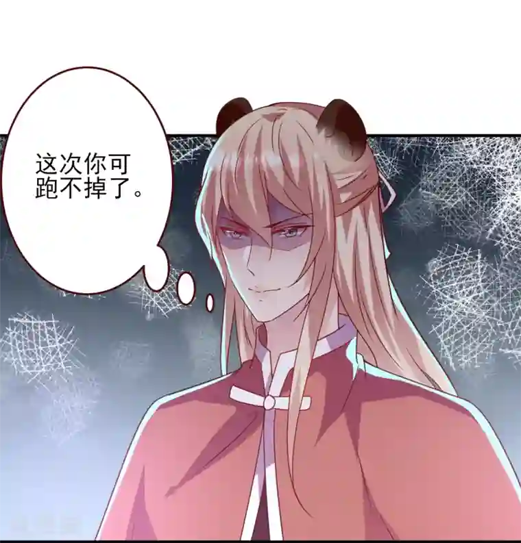 兽宠女皇第55话 狐狸对猫说了悄悄话