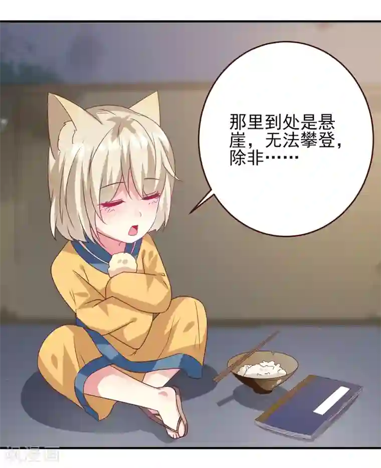 兽宠女皇第57话 逃出狐狸窝！