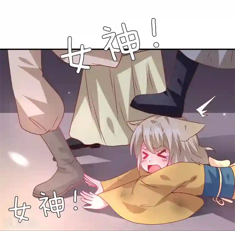 兽宠女皇第60话 小狼狼头上怎么绿了？