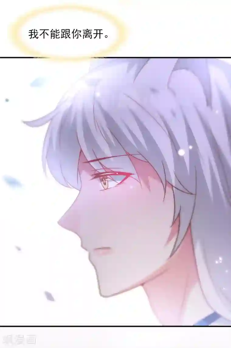 兽宠女皇第61话 猫骑士的告白~