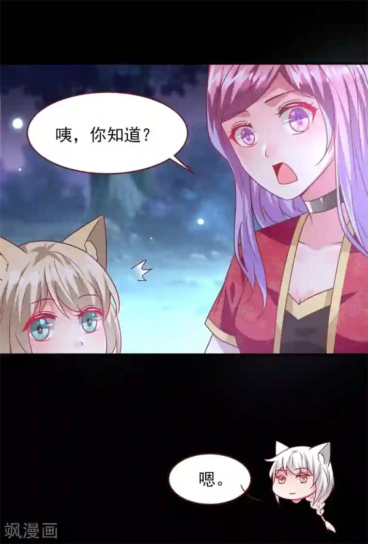 兽宠女皇第61话 猫骑士的告白~