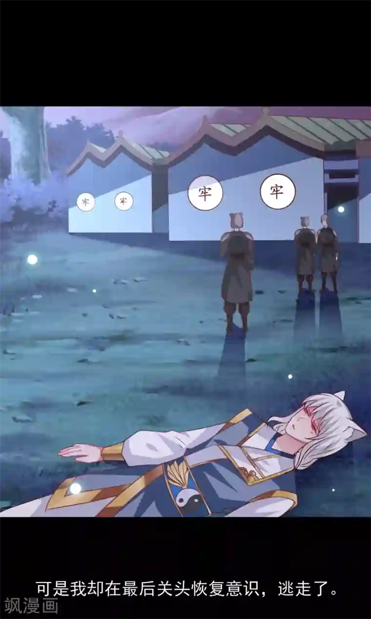 兽宠女皇第61话 猫骑士的告白~