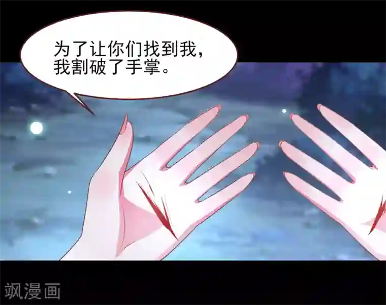 兽宠女皇第61话 猫骑士的告白~