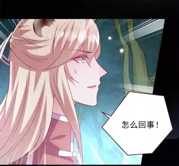 兽宠女皇第62话 为何熊骑士总想杀人？