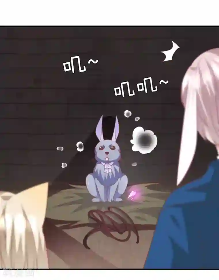 兽宠女皇第71话 我愿意和你一起死