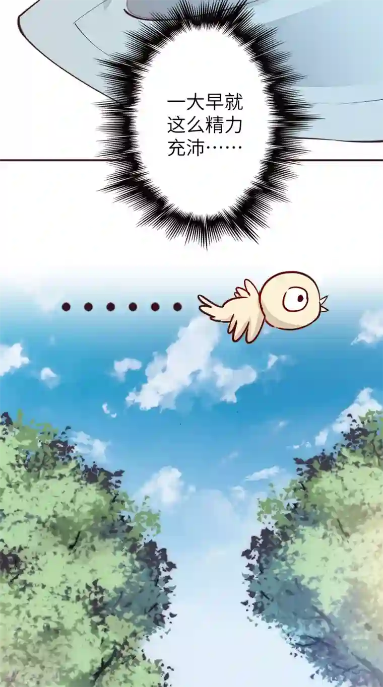 兽宠女皇新年番外