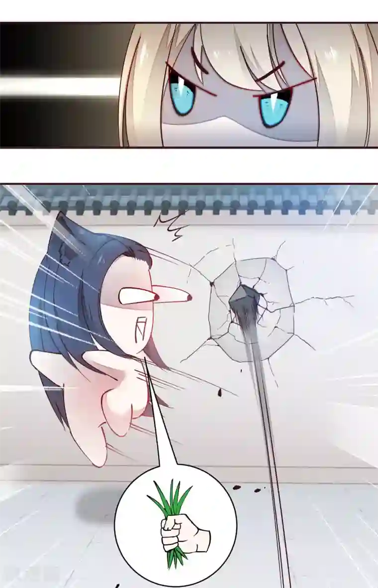 兽宠女皇新年番外