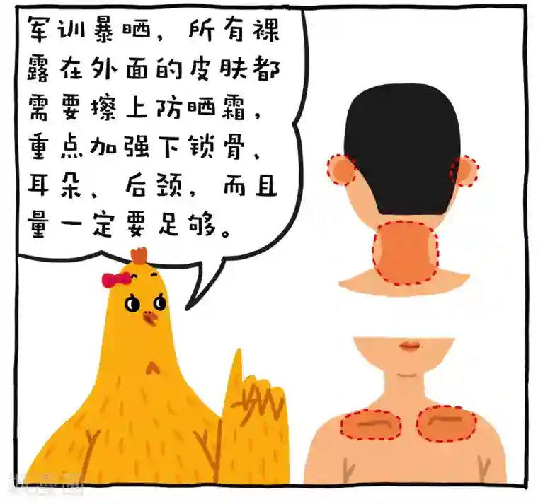 编吉一家说科普第3话