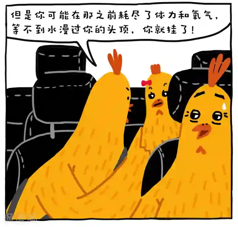 编吉一家说科普第5话