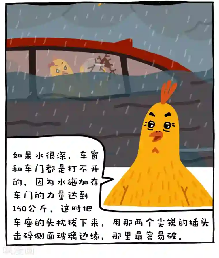 编吉一家说科普第5话