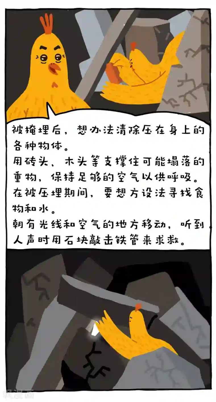 编吉一家说科普第7话
