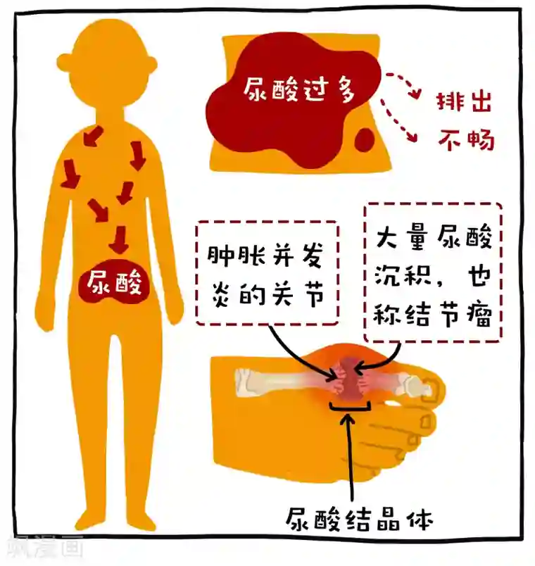 编吉一家说科普第11话