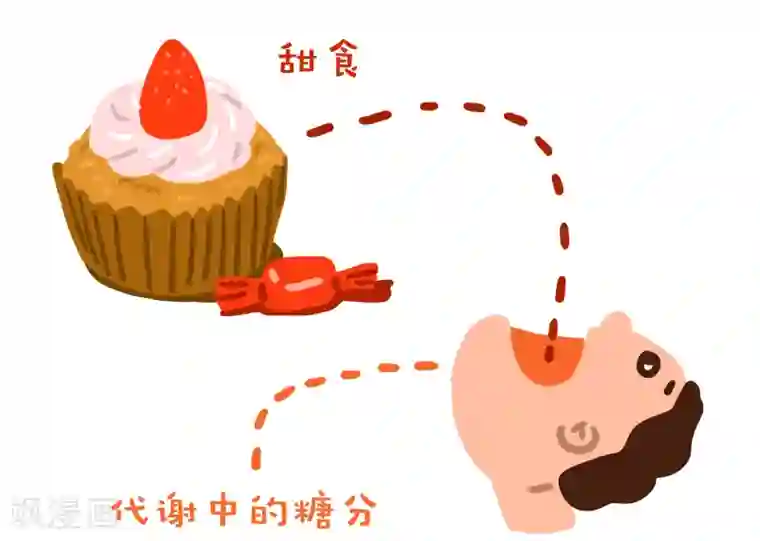 编吉一家说科普第13话