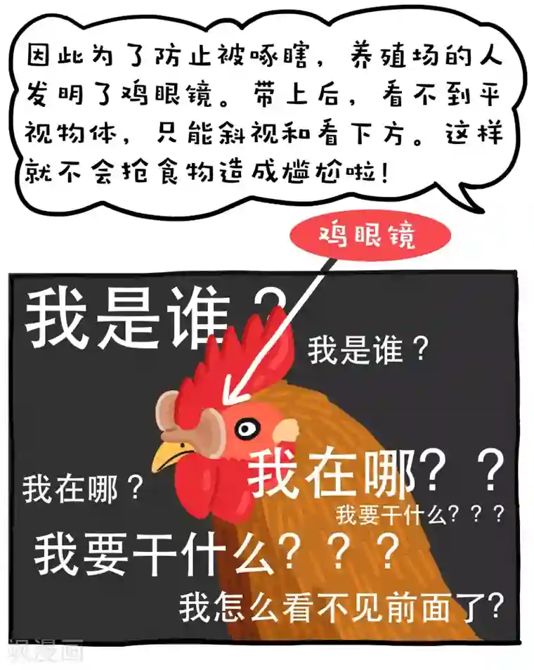编吉一家说科普第13话