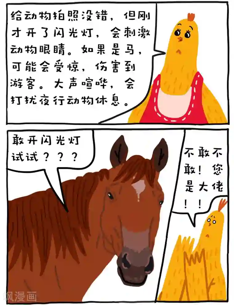 编吉一家说科普第14话