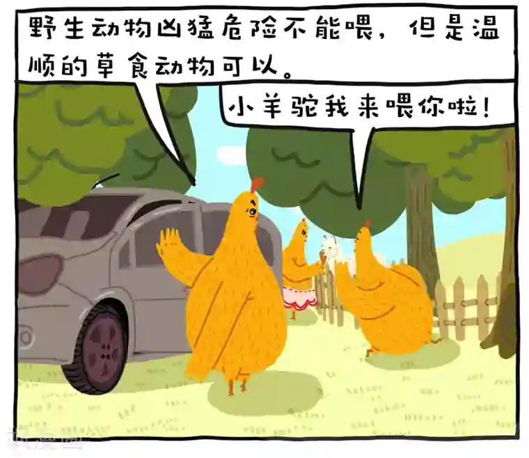 编吉一家说科普第14话