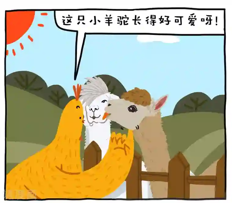 编吉一家说科普第14话