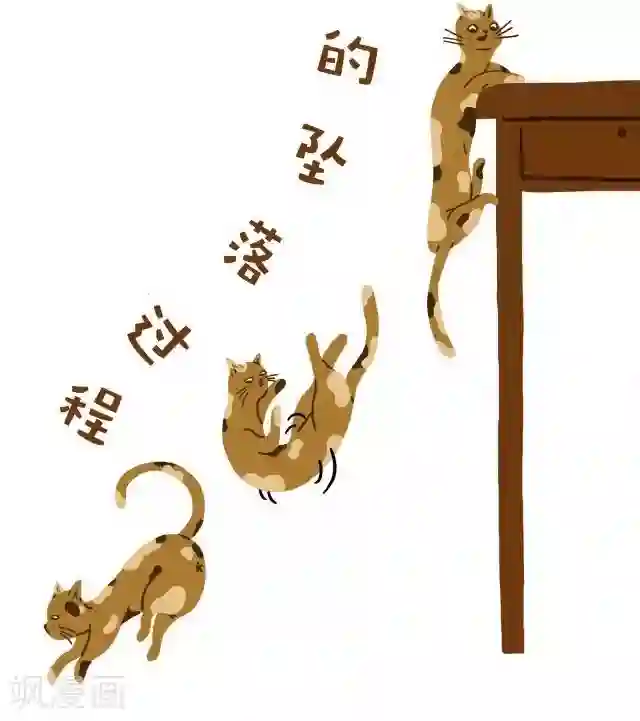 编吉一家说科普第25话