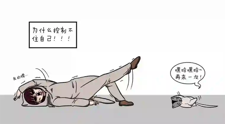 爷二盗铃第6话 蜜袋鼬？呵~